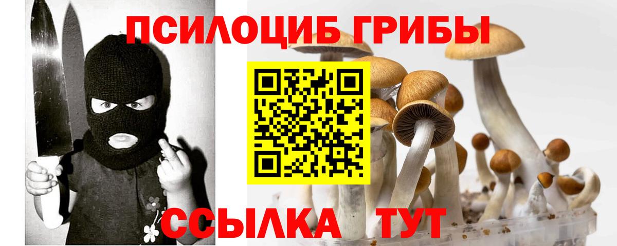 Псилоцибиновые грибы GOLDEN TEACHER Чистополь