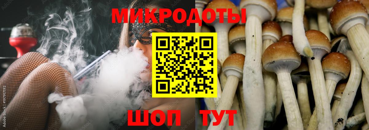 Галлюциногенные грибы GOLDEN TEACHER  что такое   Чистополь  Галлюциногенные грибы мицелий  Вход с VPN 